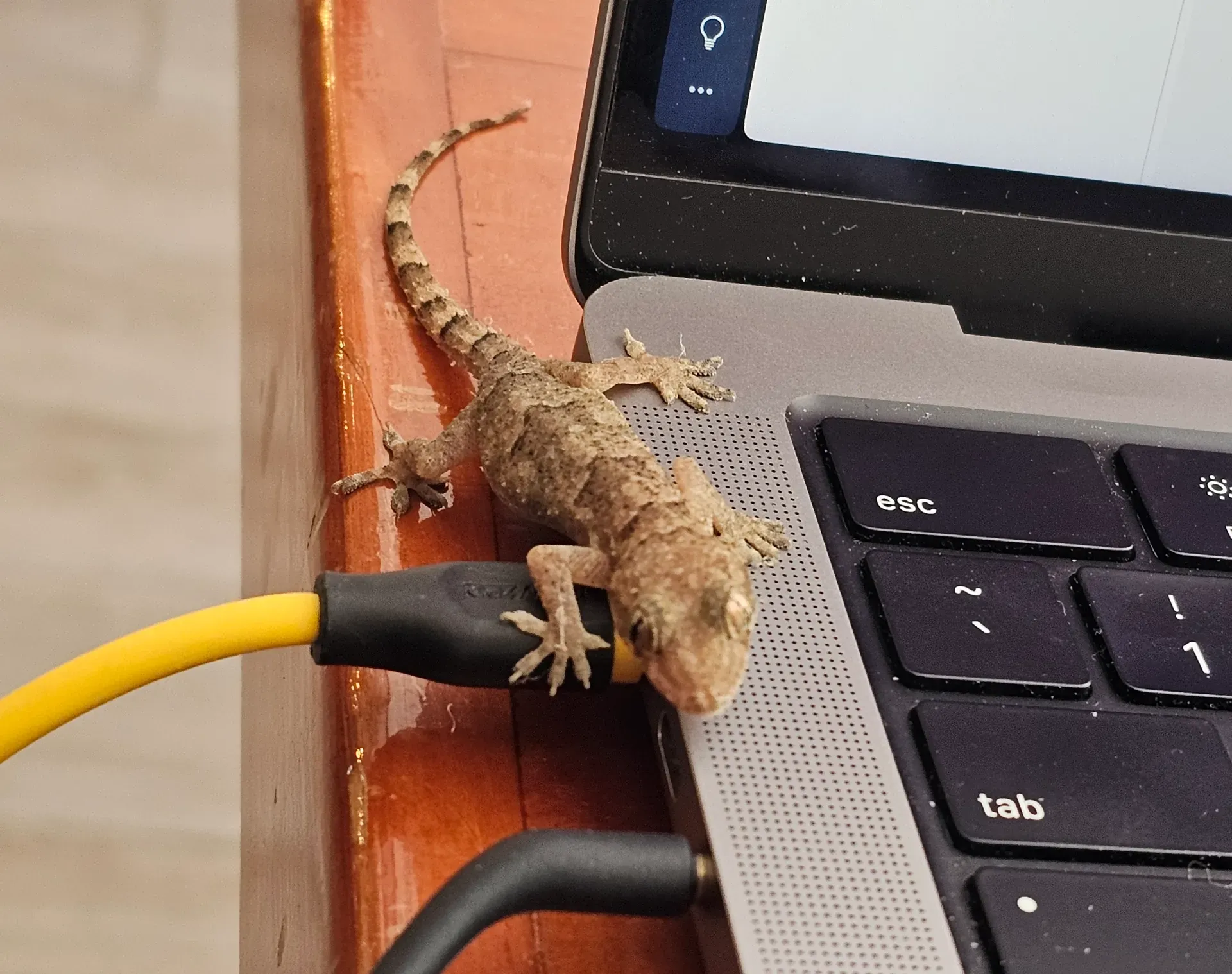 Taking calls from noisy outdoor spaces while traveling