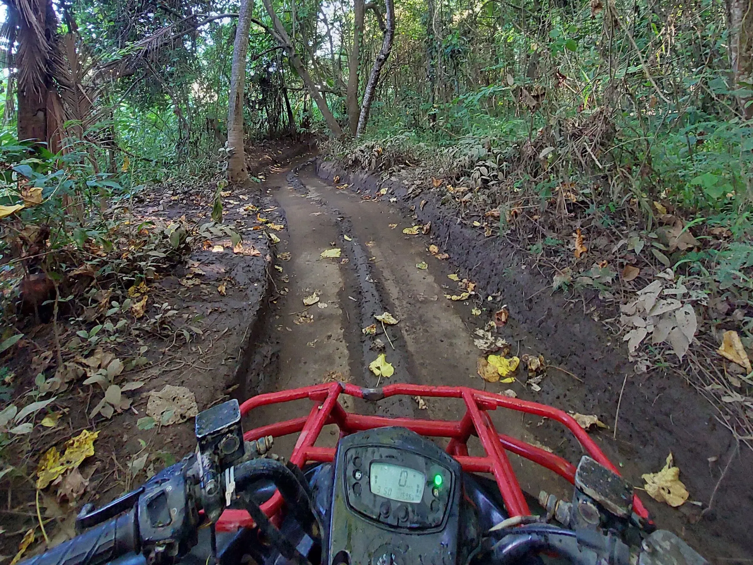 Quad biking in Bali