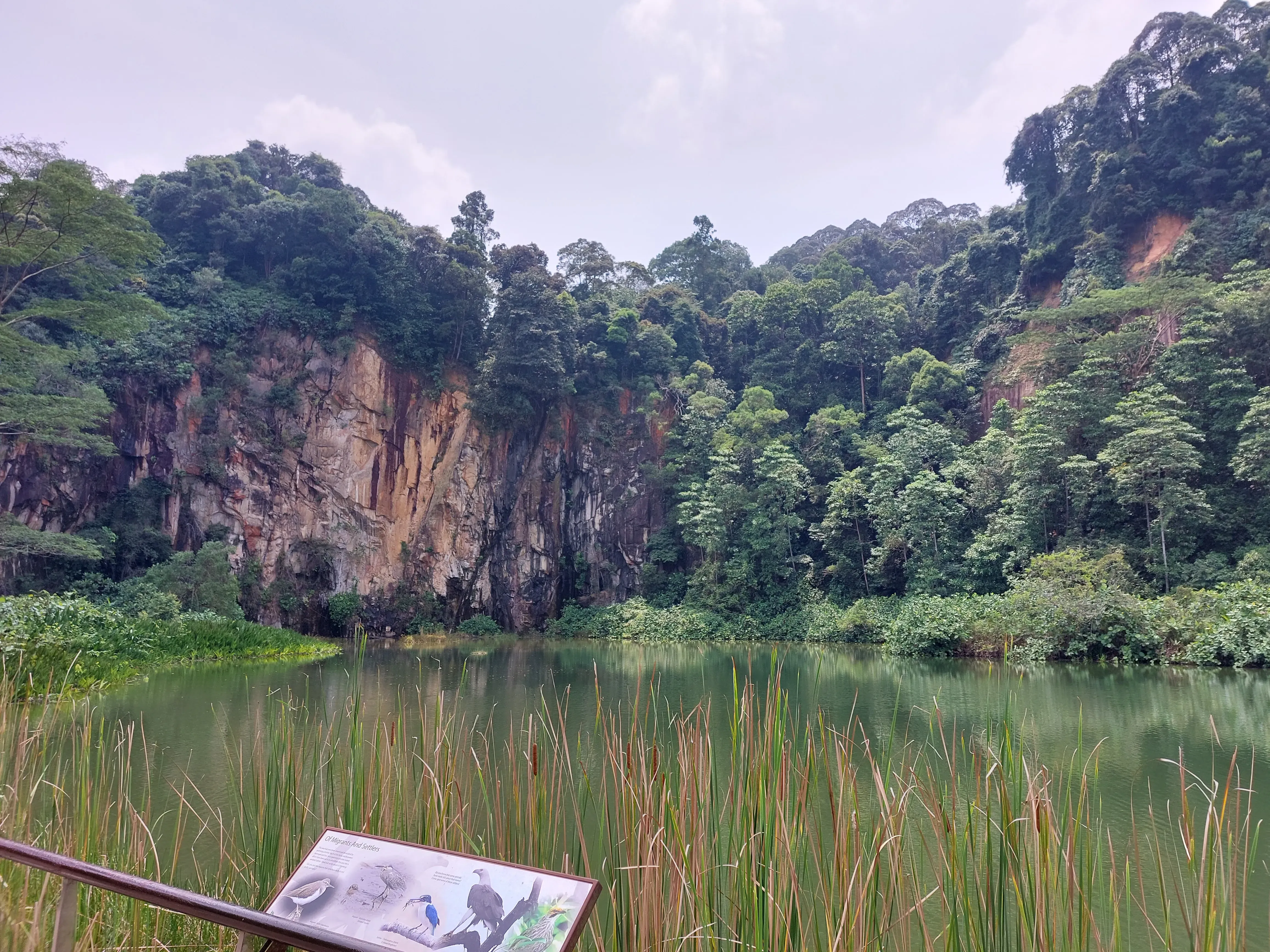 Bukit Timah nature trails